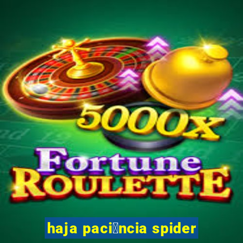 haja paci锚ncia spider