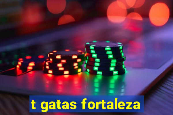 t gatas fortaleza