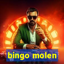 bingo molen