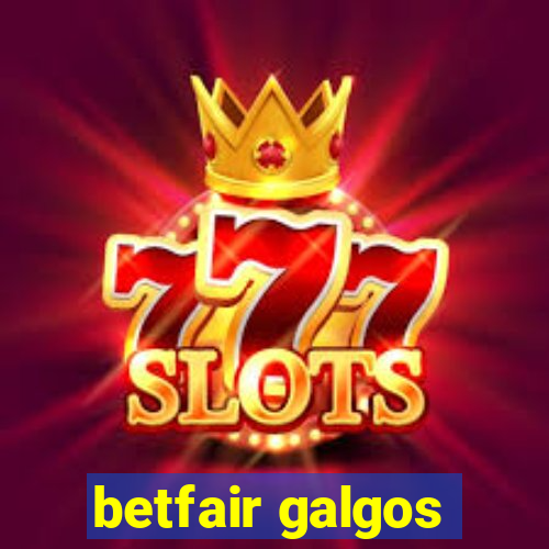 betfair galgos