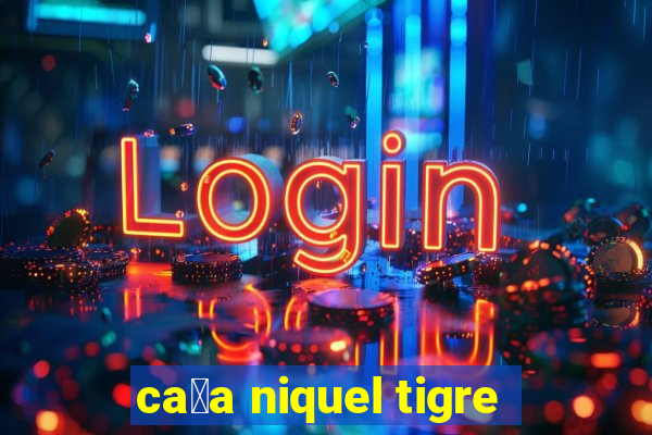 ca莽a niquel tigre