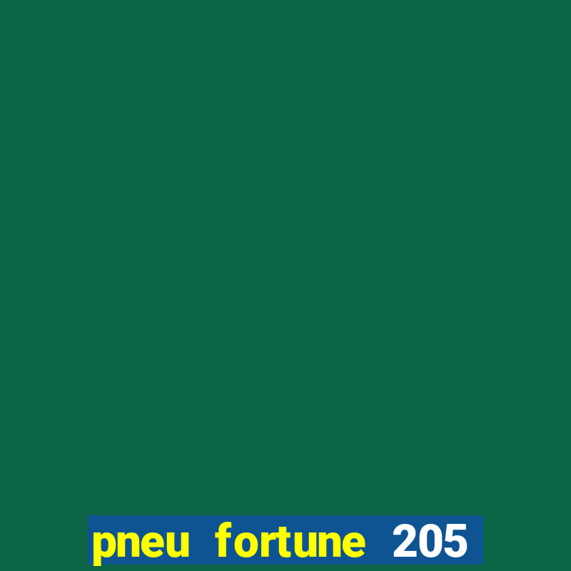 pneu fortune 205 60 r16