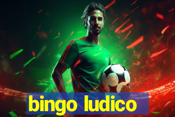 bingo ludico