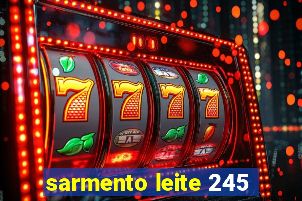 sarmento leite 245