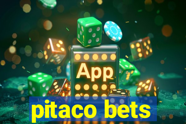 pitaco bets