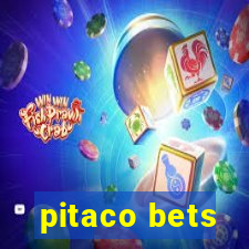 pitaco bets