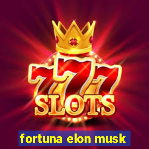 fortuna elon musk