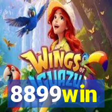 8899win