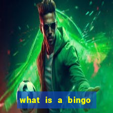 what is a bingo caller called