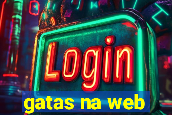 gatas na web