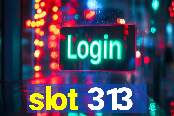 slot 313