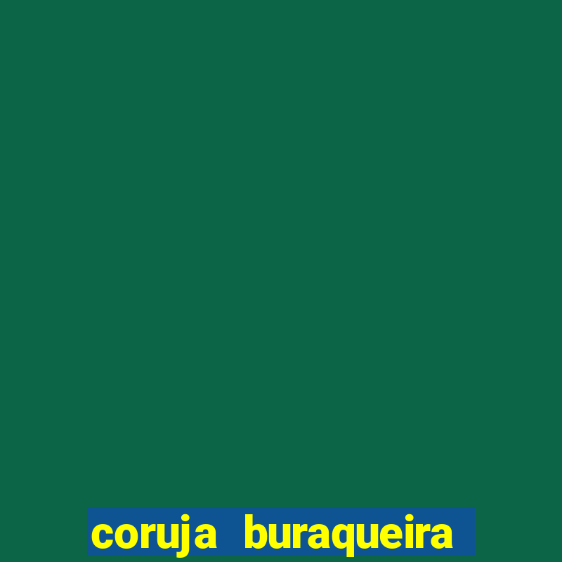 coruja buraqueira é perigosa