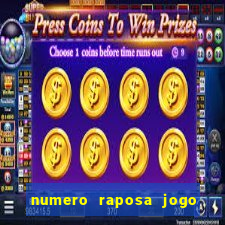 numero raposa jogo do bicho