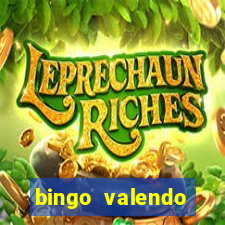 bingo valendo dinheiro online