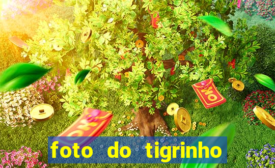 foto do tigrinho do jogo